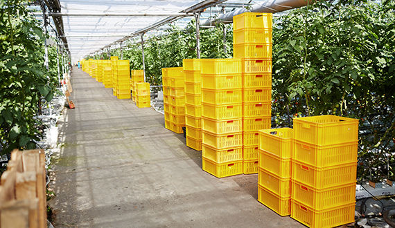 Jak dobrać skrzynki transportowe EURO do magazynu i logistyki?