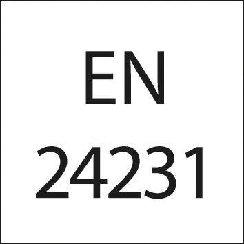 Narzynka EN24231 HSS, G1/2" FORMAT
