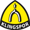 Ściernica listkowa nasadzana WSM 617 125x20mm K40 Klingspor