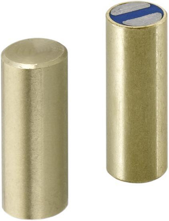 Chwytak magnetyczny, z magnesów ziem rzadkich 13x20 mm FORMAT