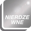 Nakrętki kołpakowe 6-kątne DIN1587 A2 M8 100szt E-NORMpro