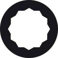 Klucz płasko-oczkowy DIN3113B 22mm FORMAT