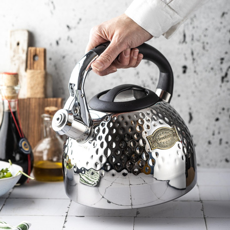 Srebrny czajnik z gwizdkiem 3 l na gaz i indukcję, Klausberg