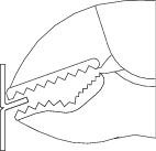 Szczypce zaciskowe ze śrubą regulacyjną i izolowaną dźwignią 230 mm Gedore 137 10, 6406700