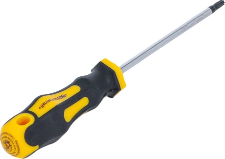 Wkrętak Torx T20 długość ostrza 100 mm, BGS Diy 7844-T20