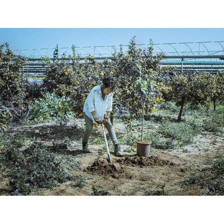 Szpadel do przesadzania, cięcia i wyrównywania gleby 190 × 970 × 54 mm BELLOTA