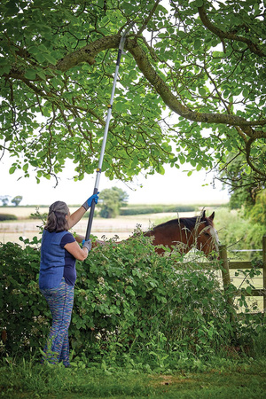 Piła ogrodowa z teleskopowym trzonkiem, 1,5 - 2,5 m, Silverline 245077