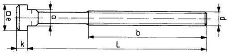 Śruba do wpustów teowych DIN787,M12x14x100mm, komplet AMF