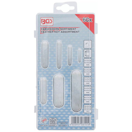 Zestaw wpustów pasowanych 60 szt., BGS 8141