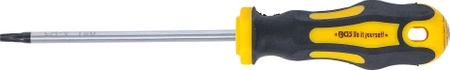 Wkrętak Torx T20 długość ostrza 100 mm, BGS Diy 7844-T20