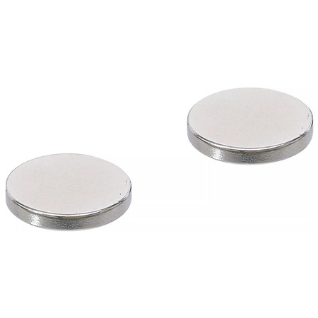 Zestaw magnesów wzmocnionych Ø 18 mm 2 szt., BGS Diy 79911