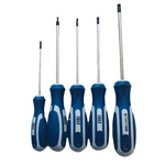 Zestaw wkrętaków 5 szt. T10, T15, T20, T25, T30 RAXX